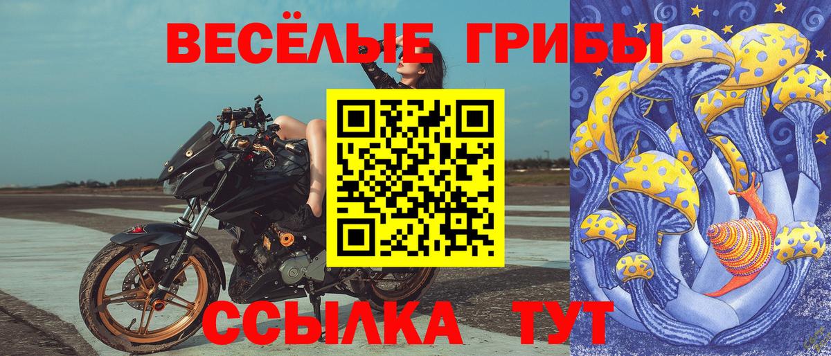 Псилоцибиновые грибы Magic Shrooms Жигулёвск